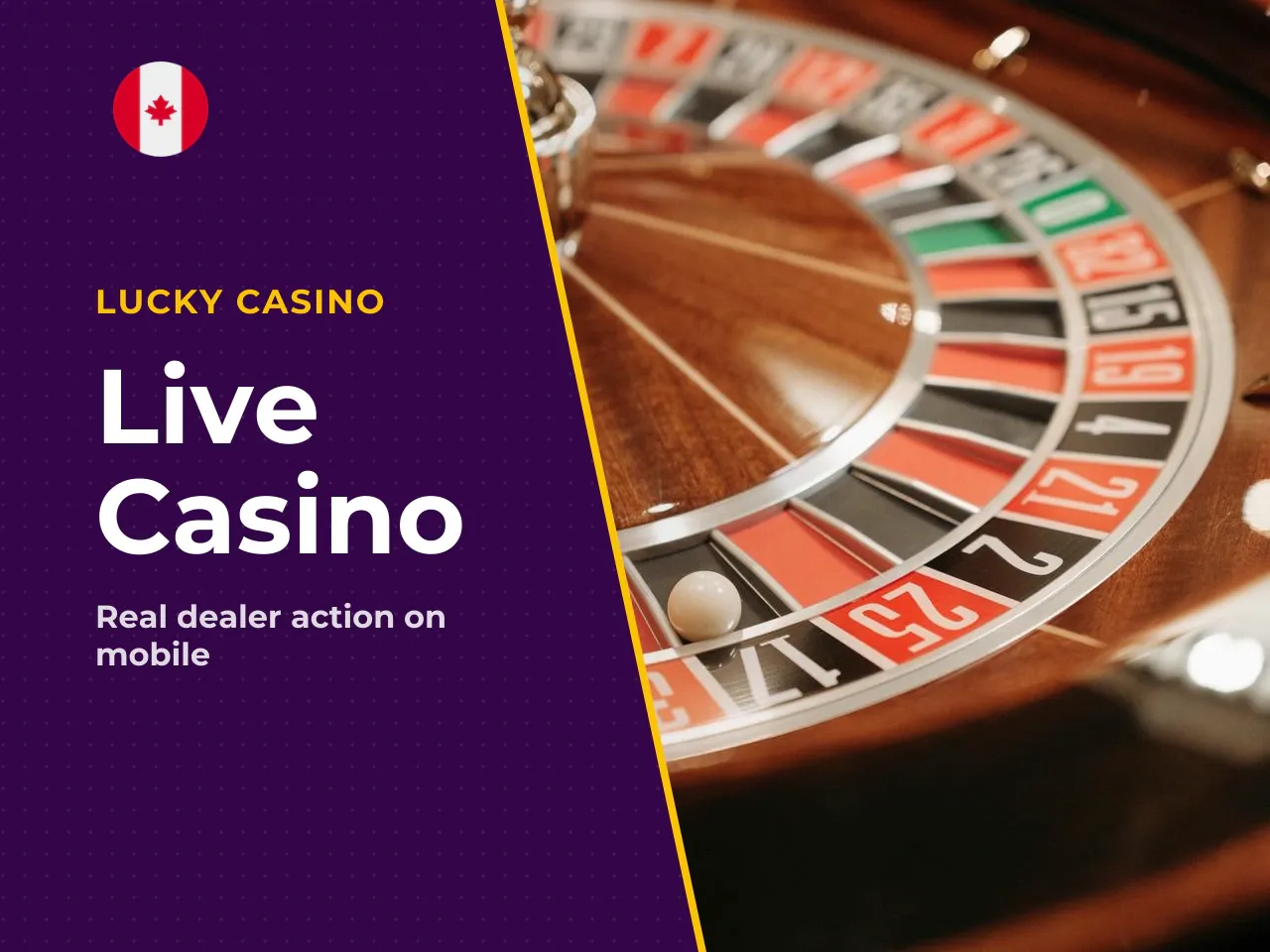 What Makes Live Casino Different on