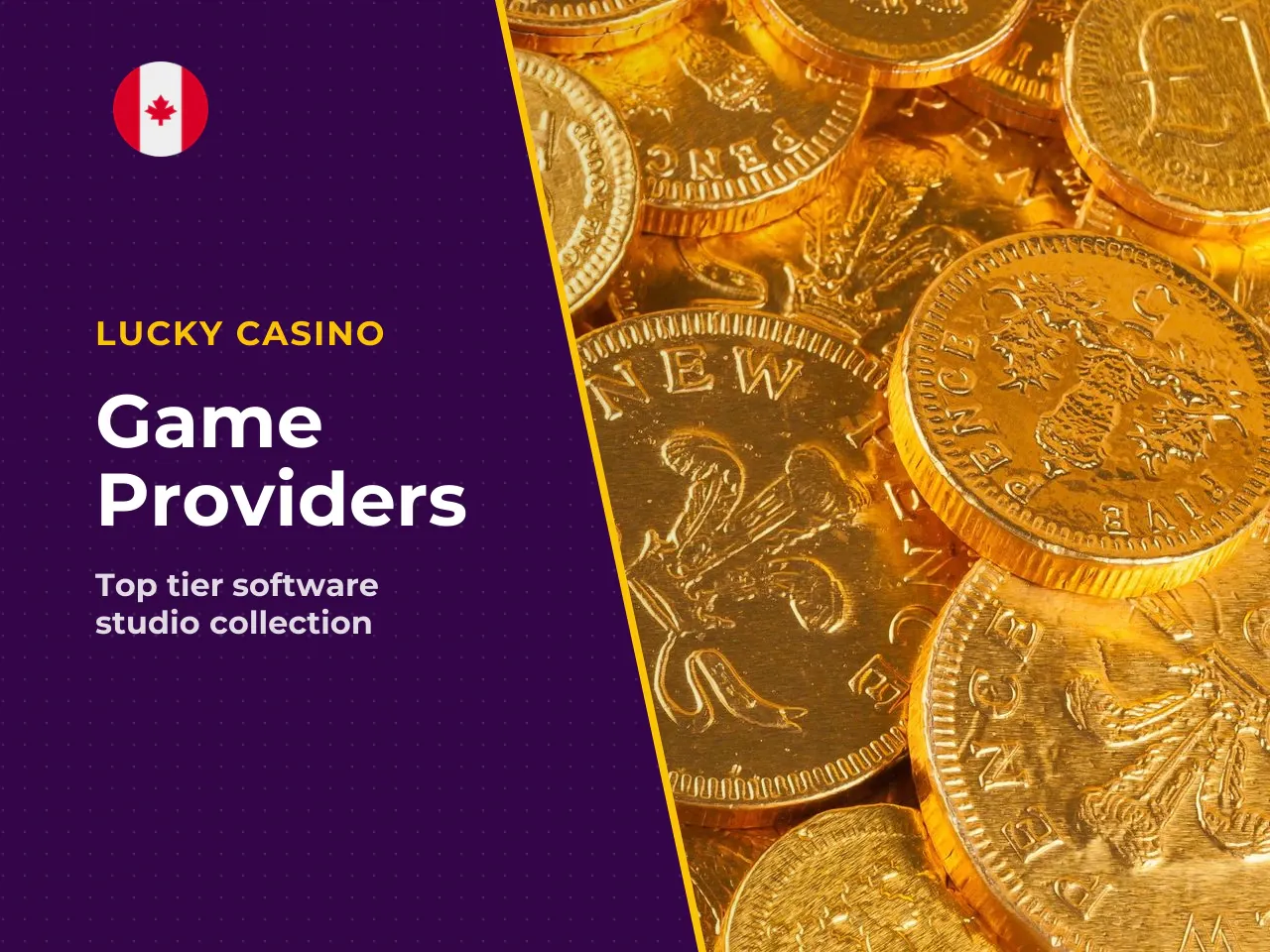 Tier-1 Studios and Niche Software Developers