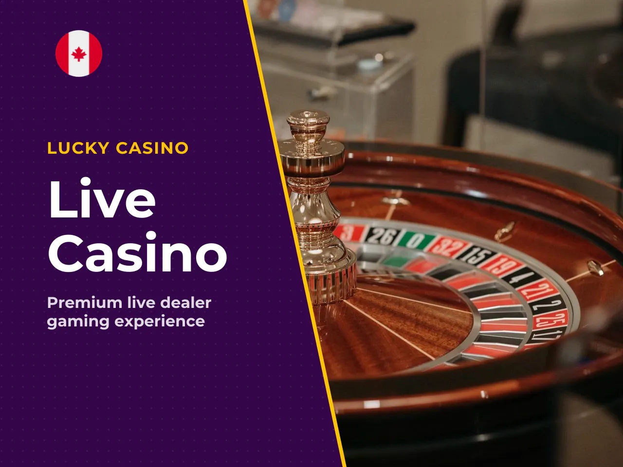 Evolution Gaming and Other Live Casino