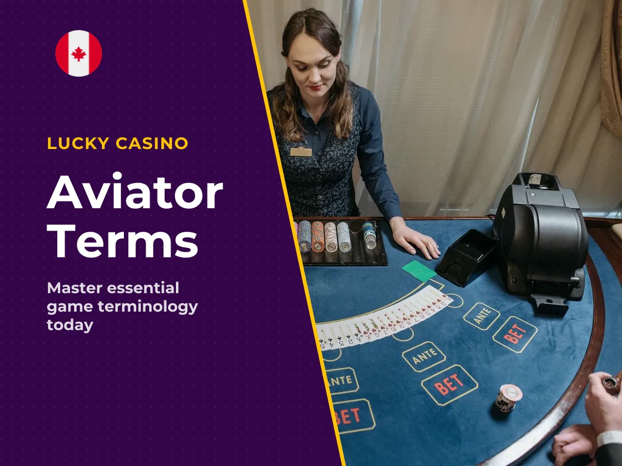 Essential Aviator Terms for Beginners. Eight