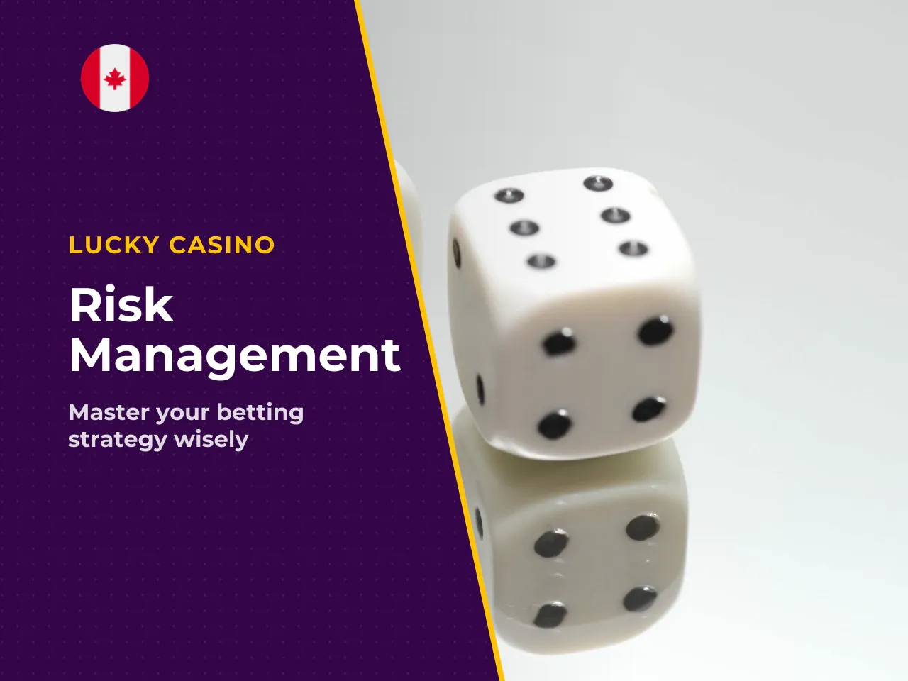 9.3 A defensible risk-management framework. Because